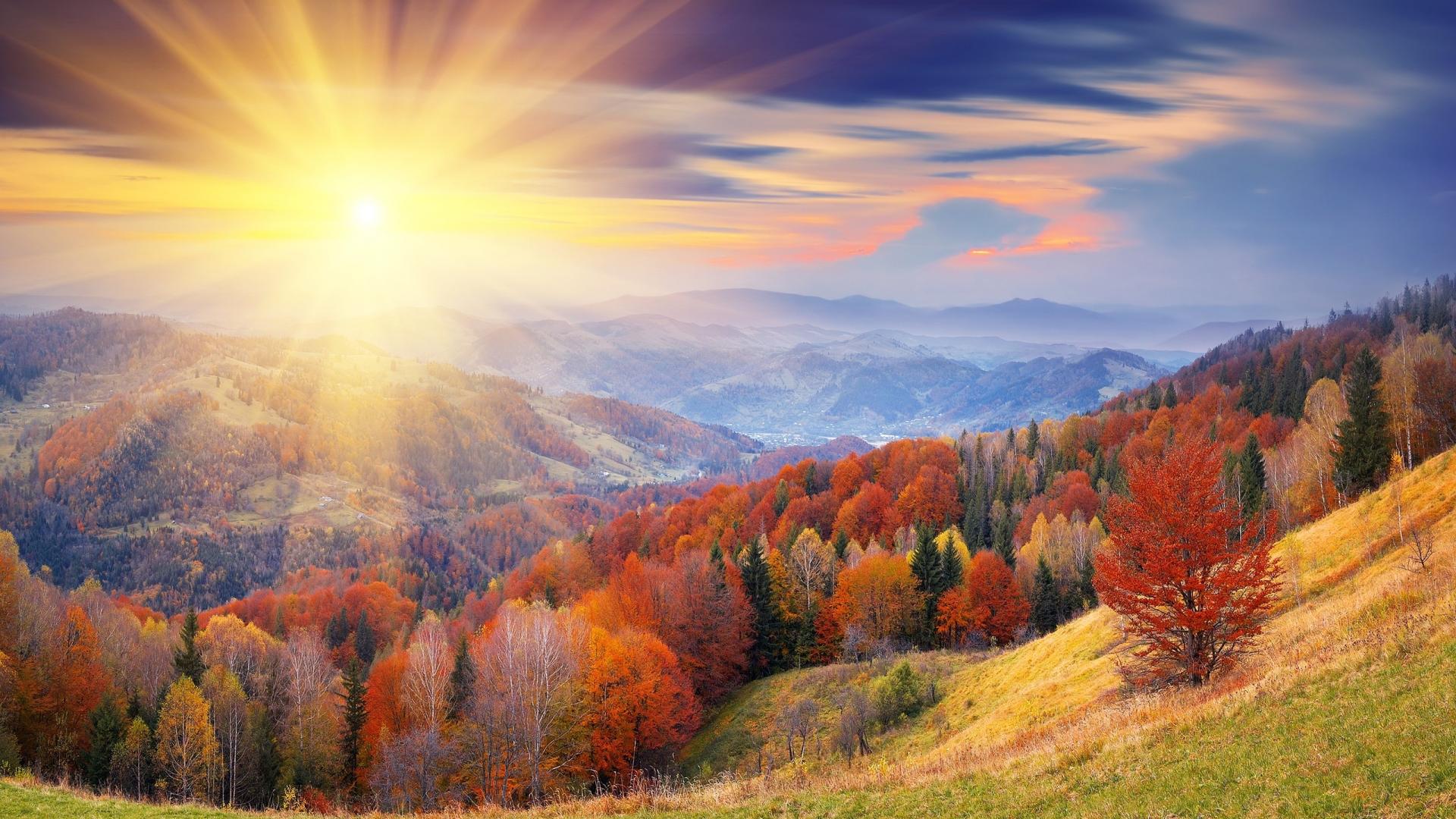Осенний лес солнце осень лес горы  