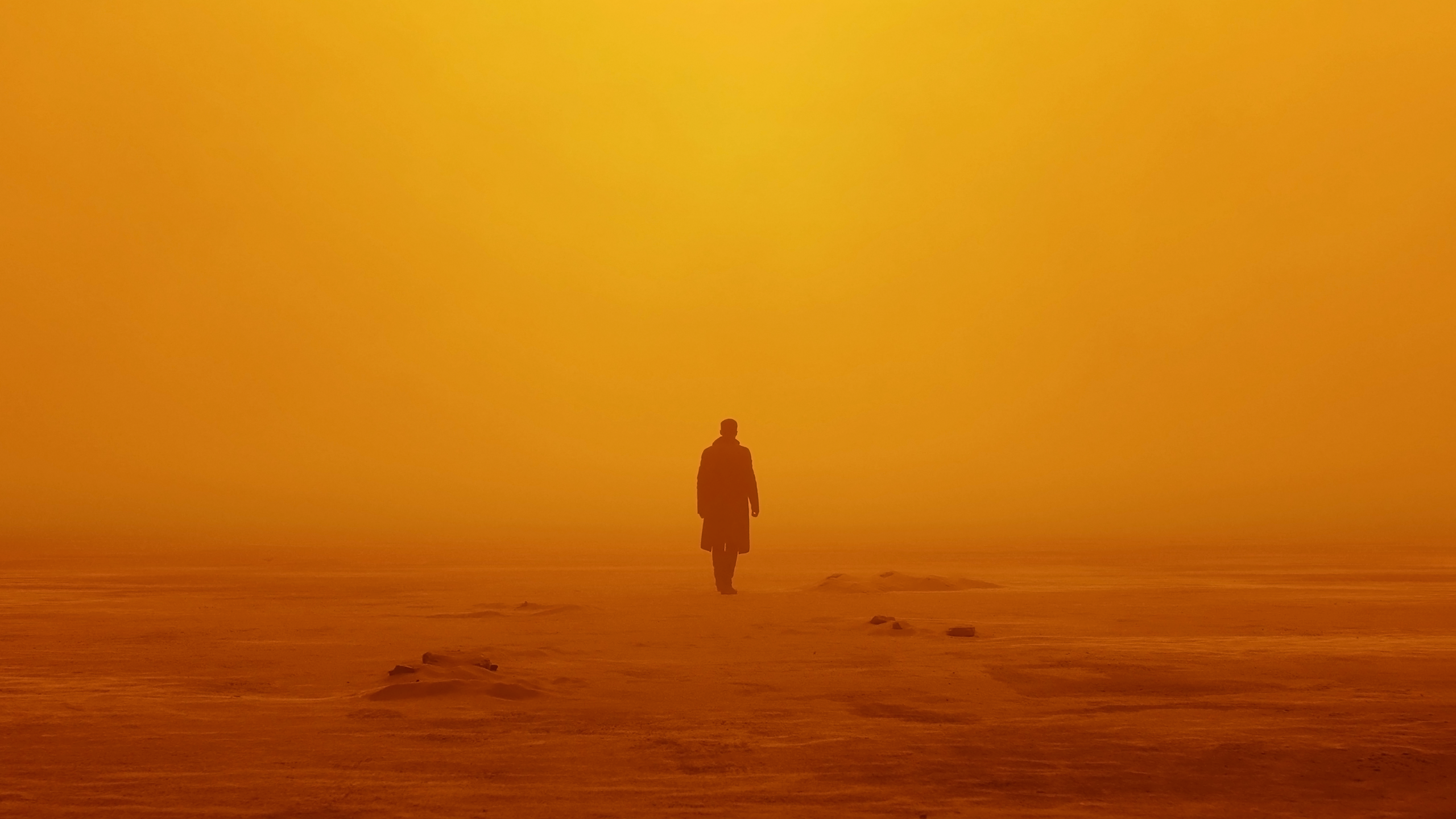 В поисках тебя туман пустыня мужчина  