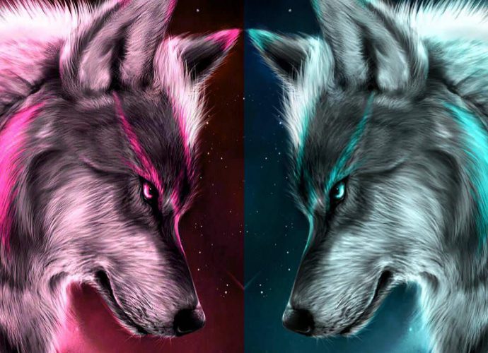 Два волка ночь неон волк  