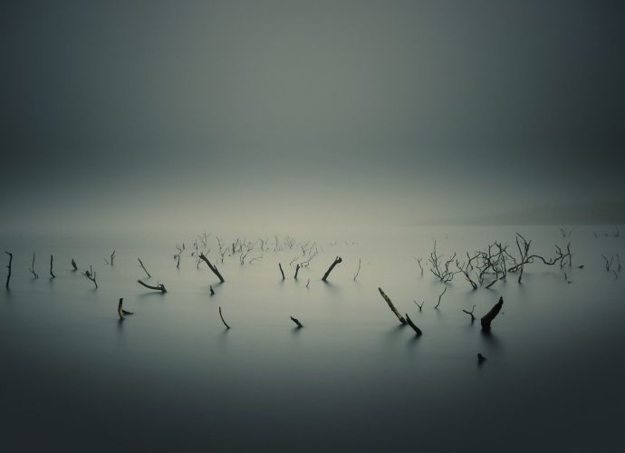 Мёртвое озеро туман озеро  