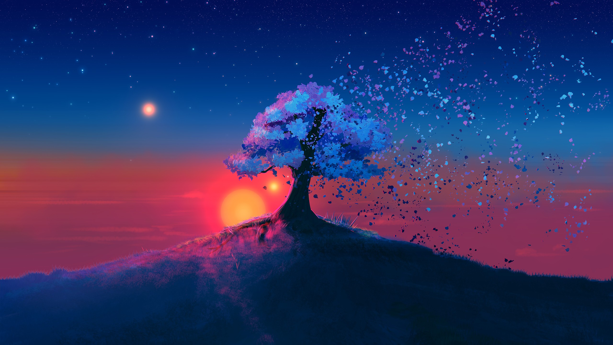 Волшебное дерево закат дерево  
